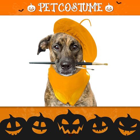 Laumoi 20 قطعة من قبعة البيريه الصوفية للهالوين قبعات حفلات البيريه الفرنسية مع وشاح رقبة ملون لتزيين الحفلات التنكرية للأطفال البالغين (ألوان نيون) in Kuwait