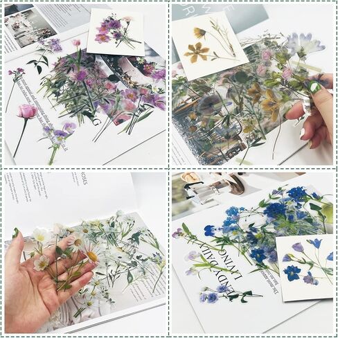 160 قطعة من ملصقات الزهور الشفافة، ملصقات lyfLux المقاومة للماء، ملصقات ذاتية اللصق بزهور جميلة لصنع بطاقات الكمبيوتر المحمول في سجل القصاصات، 4 أنماط in Kuwait
