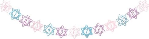 Winter Snowflake 12 Month Photo Banner First Birthday Party Decorations Baby Onederland Garlands Silver in Saudi Arabia