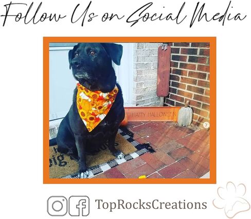 منديل سباركلي بامبل بي للكلاب فوق الياقة ينزلق على طوقها الحالي بمقاس كبير in Kuwait