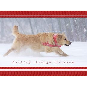 Dashing Through the Snow Golden Retriever Christmas Cards