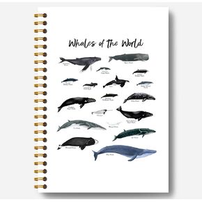 Whale Notebook - Ocean Notebook, Ocean Journal, Whale Gifts, Whale Gifts for Women, Marine Biology Gifts, Whales of the World Spiral Notebook 5.5x8.3 Inch