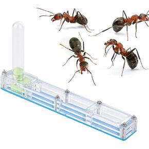 Ant Farm, Insect Ant Nest Farm Feeding Box Educational Formicarium, Habitat for Live Ants, Ant Feeding Ecosystem (Blue)