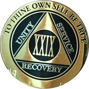 RecoveryChip 29 Year AA Medallion Elegant Black Gold Silver Bi-Plated Alcoholics Anonymous Chip