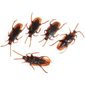 Wendy Mall 20Pcs Realistic Simulation Plastic Fake Cockroach Roach Novelty Bugs Joke Toys for April Fool's Day Halloween Party Favors Decoration Props