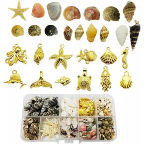 Julie Wang 250 PCS Natural Starfish Sea Shells Conch Seashells for Ocean Beach Home Party Decorations Jewelry Candle Making DIY Crafts Fish Tank Vase Filler