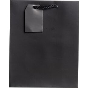 Jillson Roberts 6-Count Medium 8" x 10" x 4" All-Occasion Gift Bags Available in 20 Solid Colors, Burgundy Matte