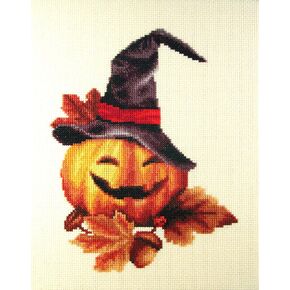 Bewitched Counted Cross Stitch kit by Orcraphics