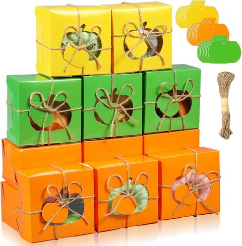 Watersay 24 Pcs Thanksgiving Treat Boxes with Present Tags, 4 x 4 x 2.5 Inch Fall Treat Boxes with Pumpkin Shaped Window Paper Gift Containers for Autumn Party Favors(Orange, Yellow, Green) in Saudi Arabia