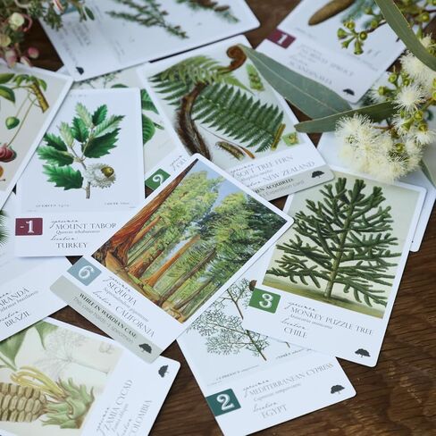 Botany: Tantalizing Trees Expansion | Family Strategy Game for Young Botanists and Adults | Ages 8+ | for 1-5 Players | Average Playtime 45-90 mins | Perfect for Family Game Night in Saudi Arabia