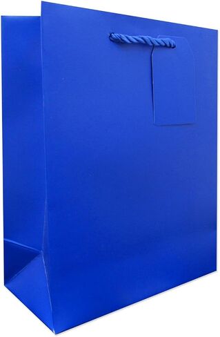 Jillson Roberts 6-Count Medium 8" x 10" x 4" All-Occasion Gift Bags Available in 20 Solid Colors, Burgundy Matte in Saudi Arabia