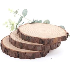 Unfinished Natural Wood Slices Wooden Circles with Tree Bark Log Discs for DIY Craft Rustic Wedding Ornaments (10PCS 3.5-4IN)