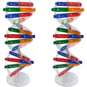 Toddmomy Kids Toys Kids Toys Kids Toys 2 Sets DNA DNA Model for Teaching DNA Model Kit for Students DNA Model Kit Model Kit Double Mannequin