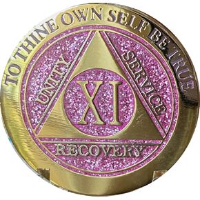 11 Year Elegant Glitter Pink Gold Silver Bi-Plated AA Medallion Chip XI
