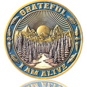 Inspirational Recovery AA Medallion with Mountain Design - Grateful, I Am Alive Sobriety Chip with Encouraging Quote - Perfect Sober Gift
