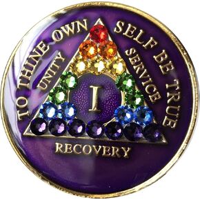 1 Year Purple Rainbow Swarovski Crystal Tri-Plate AA Medallion Chip