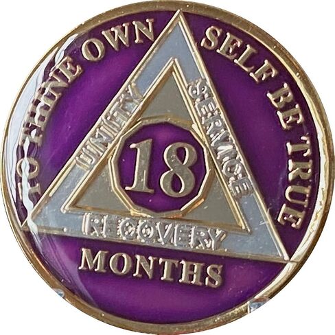 Ranger Industries 18 Month AA Medallion Metallic Purple Tri-Plate Sobriety Chip in Saudi Arabia