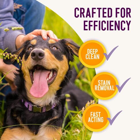 Health Extension Eliminate Enzymatic Stain & Odor Remover, 128 Oz - Natural Ingredients, Safe for Pets & People, Effective on Carpets, Hard Floors, and Pet Bedding in Saudi Arabia