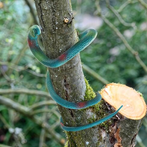 Thinp Realistic Rubber Snake Toy 3 Pieces Fake Snake Figure Garden Snake Look Real Novelty Toys Fit for Playing Jokes Halloween Prank Props Favor Keep Birds Away Scare Squirrels (3 Color) in Saudi Arabia