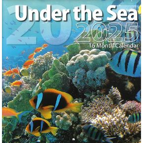 Bachmann Press 2025 Under the Sea تقويم حائط كامل الحجم للتخطيط والجدولة والتنظيم in Kuwait