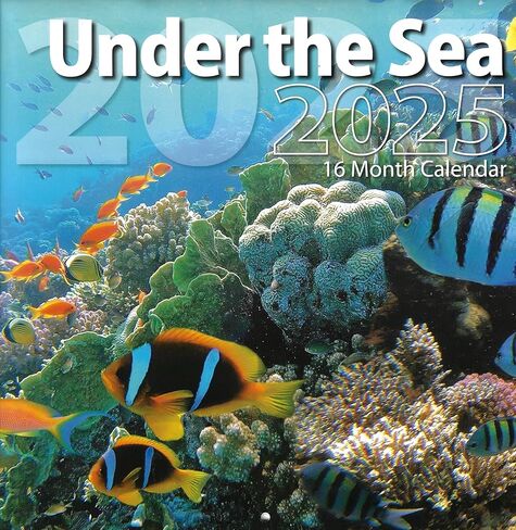 Bachmann Press 2025 Under the Sea تقويم حائط كامل الحجم للتخطيط والجدولة والتنظيم in Kuwait