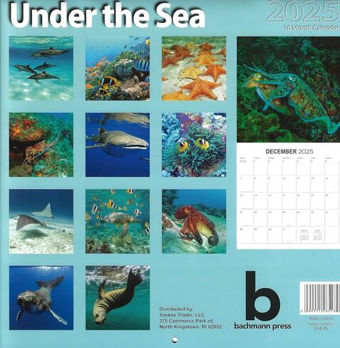 Bachmann Press 2025 Under the Sea تقويم حائط كامل الحجم للتخطيط والجدولة والتنظيم in Kuwait
