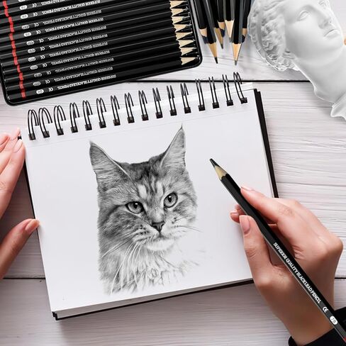 مجموعة أقلام رصاص، مجموعة أقلام رسم مكونة من 12 قطعة، مجموعة أقلام رسم من 2H إلى 8B مع أقلام جرافيت للفنانين والأطفال والكبار والرسومات ومحبي الرسم (النوع 1) in Saudi Arabia