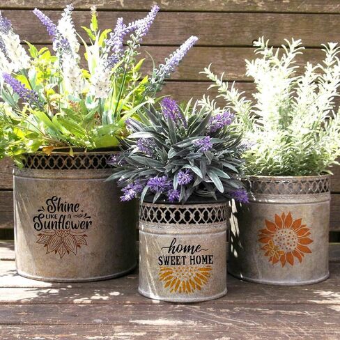 25 Pcs 6 Inch Cacti Stencils for Painting, Reusable Flower Plant Templates Kit Alphabet Stencils for Painting on Wall, Wood, Fabric, Glass, Spray Painting, DIY Craft Decoration (Cacti) in Saudi Arabia