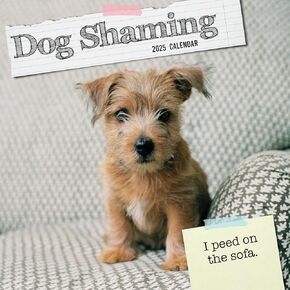 The Gifted Stationary 2025 Square Wall Calendar, Dog Shaming, 16-Month Humor Theme Hanging Calendar with 180 Reminder Stickers, Month Planner for Home, or Creative Spaces, 12x12 In
