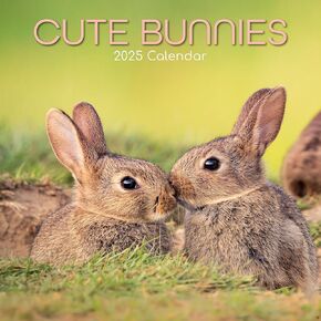 The Gifted Stationary 2025 Square Wall Calendar, Cute Bunnies, 16-Month Animals Theme Hanging Calendar with 180 Reminder Stickers, Month Planner for Home, or Creative Spaces, 12x12 In