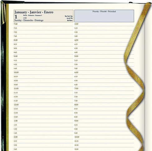 Brownline® 2025 Executive Daily Planner, Appointment Book, 12 Months, January to December, Sewn Binding, 10.75" x 7.75", Black, Trilingual (CBE514-25) in Saudi Arabia