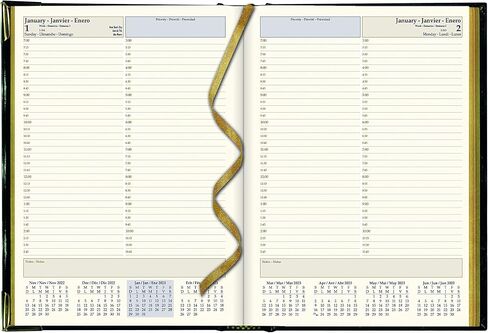 Brownline® 2025 Executive Daily Planner, Appointment Book, 12 Months, January to December, Sewn Binding, 10.75" x 7.75", Black, Trilingual (CBE514-25) in Saudi Arabia