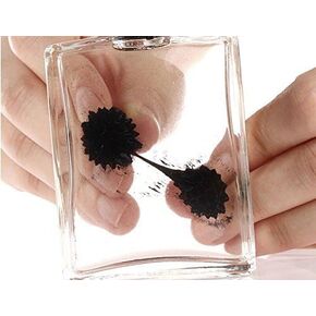 Amazing Ferrofluid Magnetic Display in a Bottle, Ferrofluid Magnetic Liquid Display Desk Toy, Magnetism Science Kits by C&H Solutions