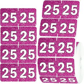 2025 Year Stickers Color Coding 3/4" x 1 1/2" File Folder 25 Year Label Coded Colored Year Stickers for End Tab File Folder Organization Office Supplies 500 Pcs (Pink)
