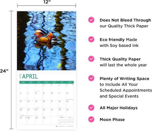 2025 Ducks Monthly Wall Calendar by Bright Day, 12 x 12 Inch Cute Nature Photography Gift in Saudi Arabia