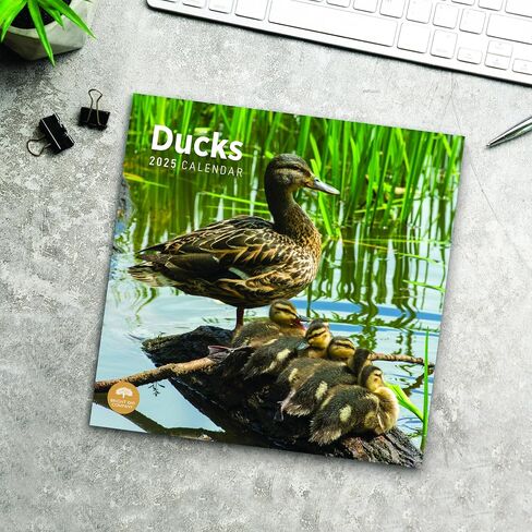 2025 Ducks Monthly Wall Calendar by Bright Day, 12 x 12 Inch Cute Nature Photography Gift in Saudi Arabia