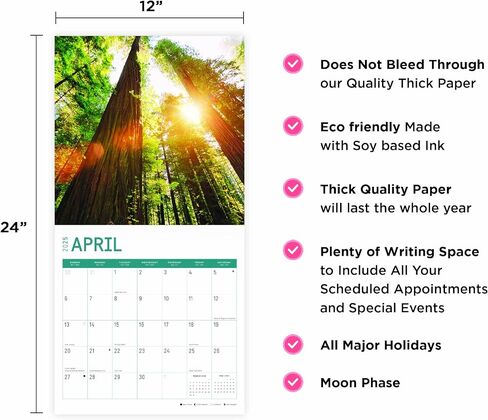 2025 Redwood Forest Monthly Wall Calendar by Bright Day, 12 x 12 Inch National Park Scenic Photography in Saudi Arabia
