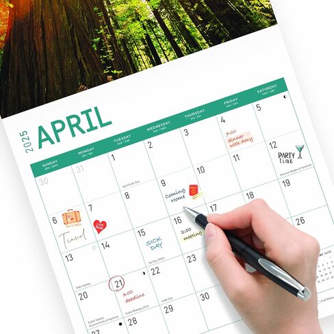 2025 Redwood Forest Monthly Wall Calendar by Bright Day, 12 x 12 Inch National Park Scenic Photography in Saudi Arabia