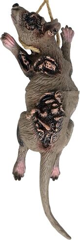 Halloween Hanging Bats Decoration Terrible Prank Props Ornament Realistic Scary Fake Dead Mouse Rat Spider Cats Dogs Toys Halloween Zombie Vampire Party Decor Supplies for Haunted House Theme Party in Kuwait