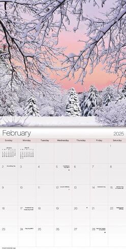 Seasons Calendar 2025 - Deluxe 2025 Changing Seasons Mini Calendar Bundle with Over 100 Calendar Stickers (Seasons Gifts, Office Supplies) in Saudi Arabia