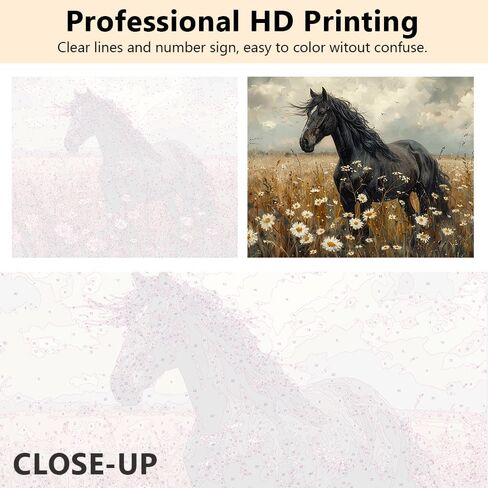 TUMOVO Flowers Paint by Number, Morning Glory and Butterflies Adults' Paint-by-Number Kits, Impressionist Style Paint by Numbers for Adults DIY Oil Painting with Brushes and Pigment, 16x20 Inch in Kuwait