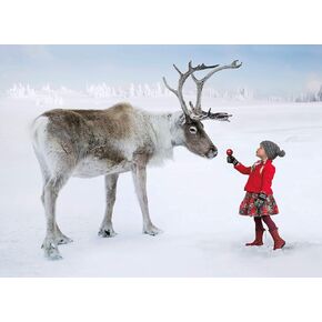 Girl and Reindeer Christmas Cards Boxed With Envelopes Set of 12 Holiday Cards and 12 Envelopes. Made in USA.