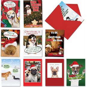 NobleWorks Variety Pack of 10 Christmas Greeting Cards with Envelopes, Adult Cartoon, Humor Holiday Assortment for Men and Women - Naughty is Nice A1255
