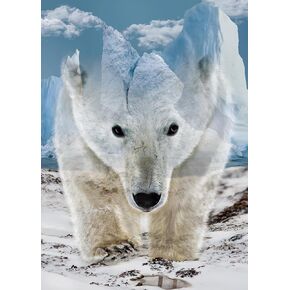 Animal Bear Jigsaw Puzzle for Adult 1000 Piece, Challenging Impossible Difficult Hard Puzzles for Adult, Nature Wildlife Hunting Puzzle 1000 Pieces