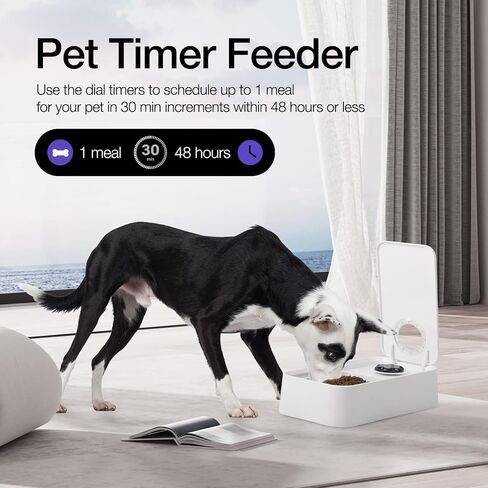 ALL FOR PAWS Automatic Cat Feeder Wet Food Dispenser - 1 Cup Compartment, 300ml Capacity Each, Includes Ice Pack, Dishwasher Safe Removable Trays (1 Meal) in Saudi Arabia