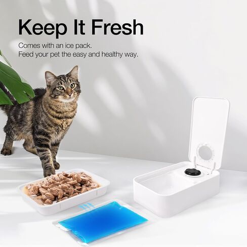 ALL FOR PAWS Automatic Cat Feeder Wet Food Dispenser - 1 Cup Compartment, 300ml Capacity Each, Includes Ice Pack, Dishwasher Safe Removable Trays (1 Meal) in Saudi Arabia