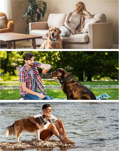 2-in-1 Dog Training and Bark Control Collar – Rechargeable, Waterproof, Smart Anti-Barking Collar for Small, Medium, and Large Dogs - Effective & Humane Training in Saudi Arabia
