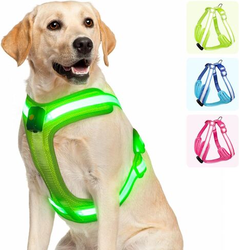 Light Up Dog Harness - LED Dog Harness Rechargeable, No Choke Illuminated Glow Dark Harness Vest Waterproof for Medium Large Dogs for Camping Night Safety Walking-Green,M in Kuwait