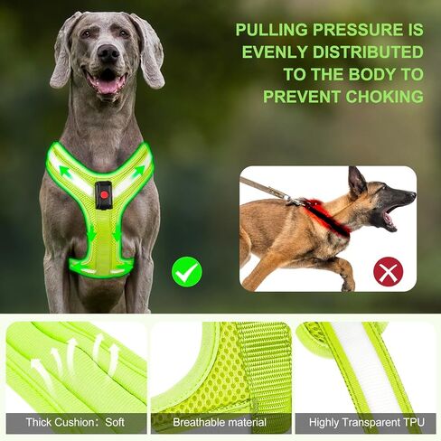 Light Up Dog Harness - LED Dog Harness Rechargeable, No Choke Illuminated Glow Dark Harness Vest Waterproof for Medium Large Dogs for Camping Night Safety Walking-Green,M in Kuwait