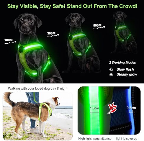 Light Up Dog Harness - LED Dog Harness Rechargeable, No Choke Illuminated Glow Dark Harness Vest Waterproof for Medium Large Dogs for Camping Night Safety Walking-Green,M in Kuwait